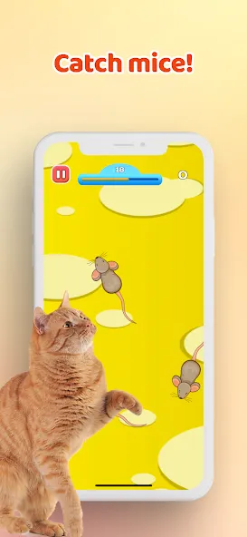 Games for Cat－Toy Mouse & Fish — скриншот 1