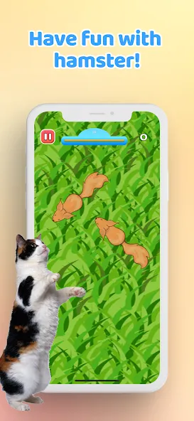 Games for Cat－Toy Mouse & Fish — скриншот 5