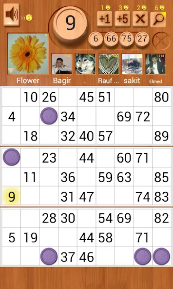 Loto Online — скриншот 1
