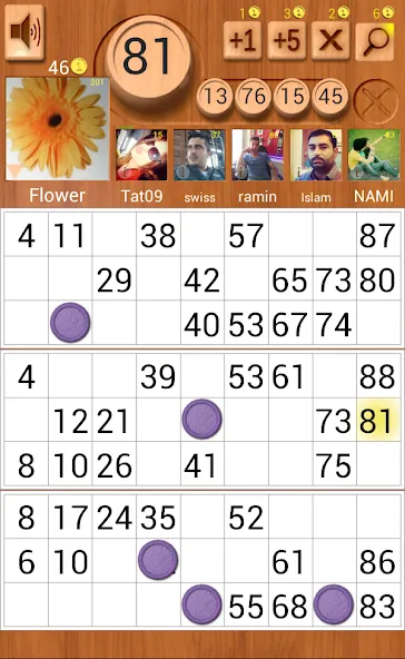 Loto Online — скриншот 5