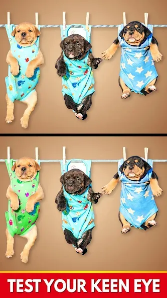Find The Differences - Spot it — скриншот 3