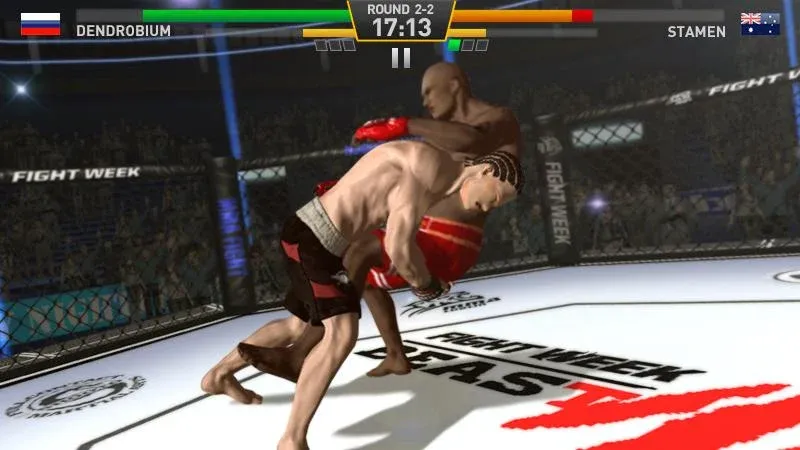 Fighting Star — скриншот 4