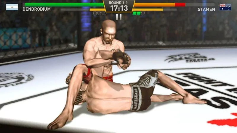 Fighting Star — скриншот 5
