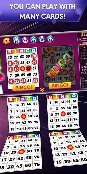 Bingo - Offline Bingo Game — скриншот 1