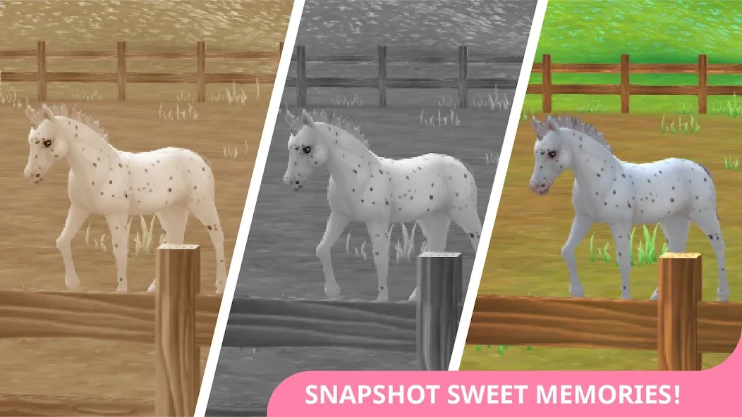 Star Stable Horses — скриншот 4 Star Stable Horses — скриншот 4
