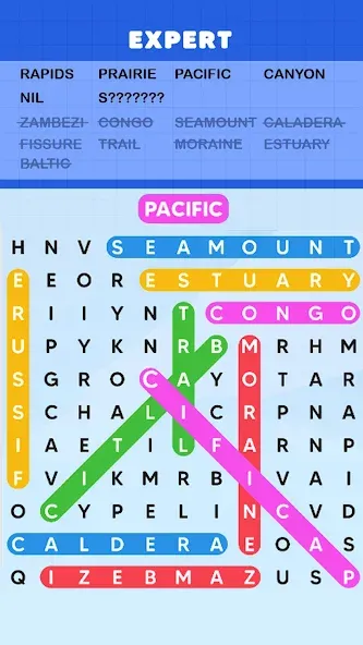 Word Search Puzzle Challenge — скриншот 2