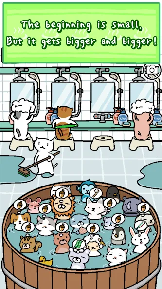 Animal Hot Springs — скриншот 2