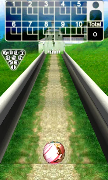 3D Bowling — скриншот 4 3D Bowling — скриншот 4