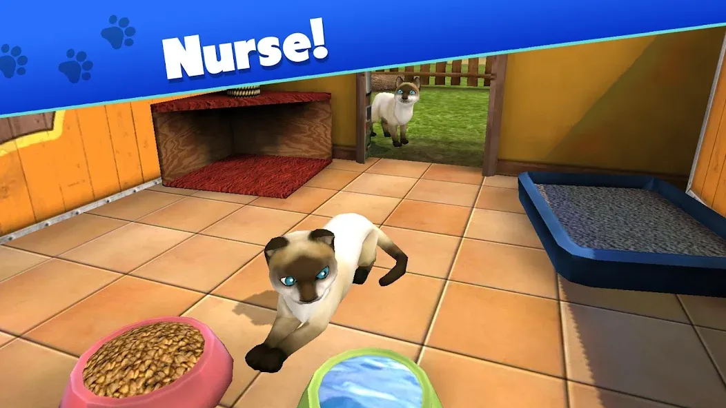 Pet World - My Animal Shelter — скриншот 3