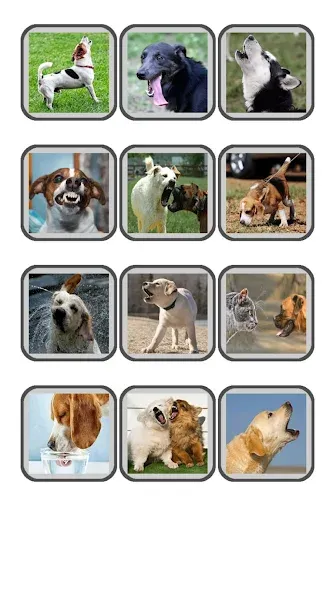 Dog Translator: Bark to Human — скриншот 5