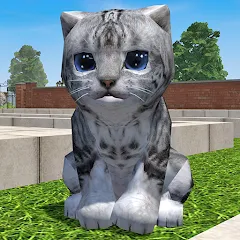 Cute Pocket Cat 3D - Part 2 — Модификация Много денег