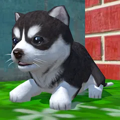 Взломанная Cute Pocket Puppy 3D — Много денег