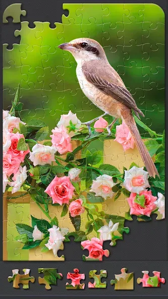 Jigsaw Puzzles for Adults — скриншот 3