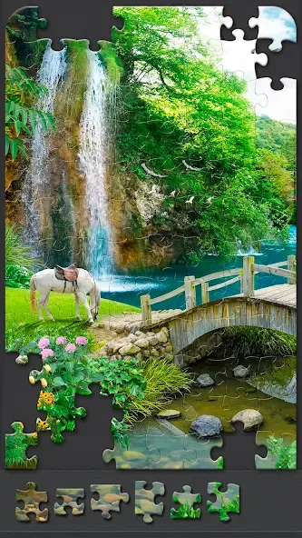 Jigsaw Puzzles for Adults — скриншот 4