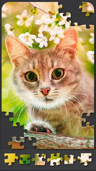 Jigsaw Puzzles for Adults — скриншот 5