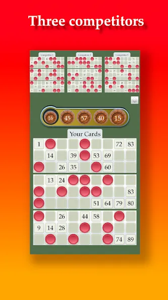 Lotto — скриншот 3