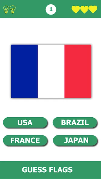 Flag Quiz Gallery: Quiz, Guess — скриншот 4