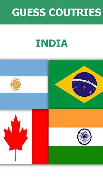 Flag Quiz Gallery: Quiz, Guess — скриншот 5