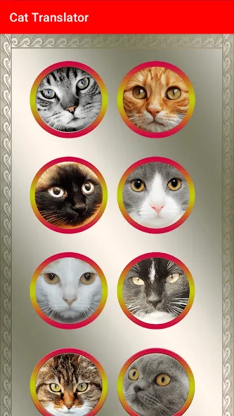 Translator for Cats Prank — скриншот 3