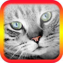 Translator for Cats Prank — Модификация Все кошачьи фразы открыты