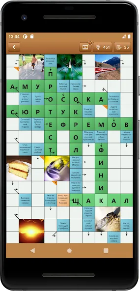 Сканворд Фан — скриншот 1