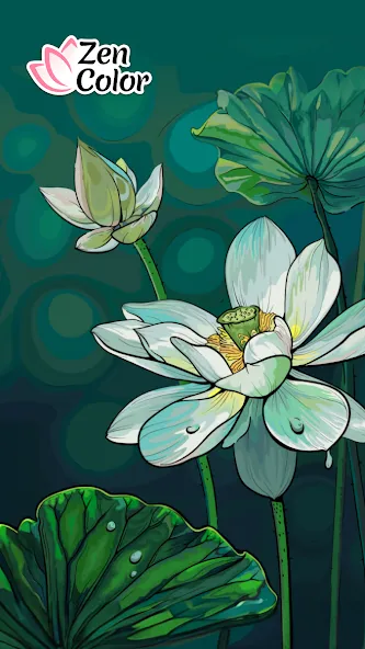 Zen Color - Color By Number — скриншот 1 Zen Color - Color By Number — скриншот 1