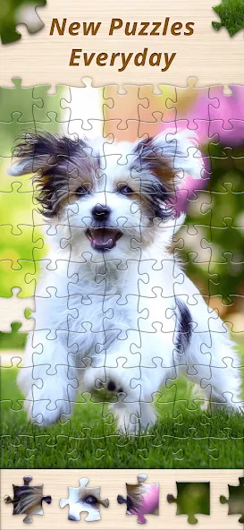 Jigsaw Premium Puzzles HD — скриншот 5