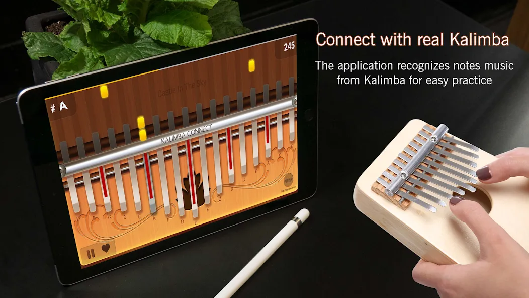 Kalimba Connect — скриншот 1