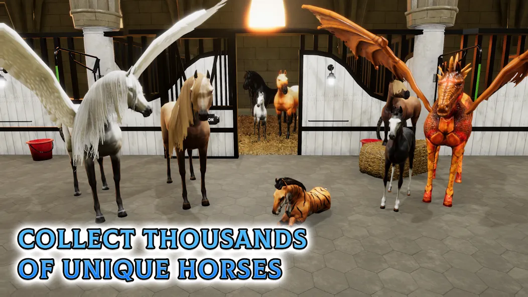 Horse Academy - Equestrian MMO — скриншот 5