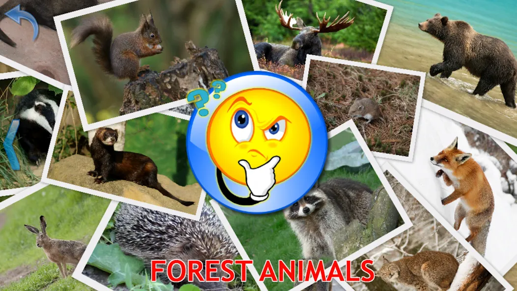 Animals for Kids — скриншот 5