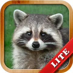 Взломанная Animals for Kids на Андроид — Все животные открыты