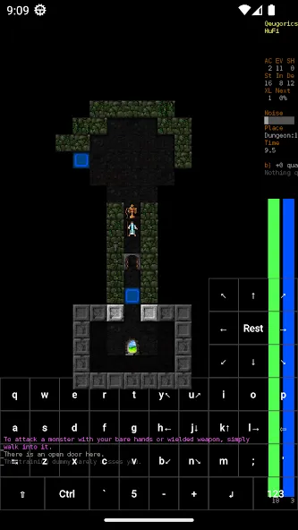 Dungeon Crawl Stone Soup — скриншот 3