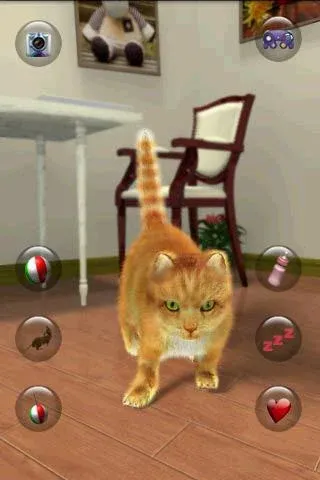 Talking Lovely Cat — скриншот 1 Talking Lovely Cat — скриншот 1