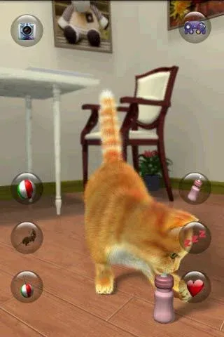 Talking Lovely Cat — скриншот 5