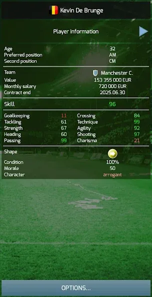 True Football 3 — скриншот 4