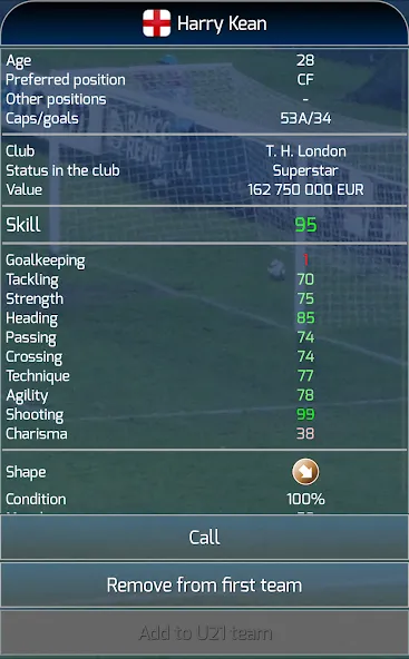 True Football National Manager — скриншот 5