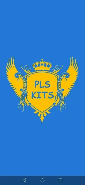 PLS KITS — скриншот 1