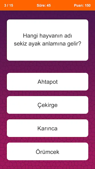 Bilgi Yarışması — скриншот 1