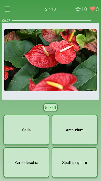 Quiz: Flowers, Plants — скриншот 1