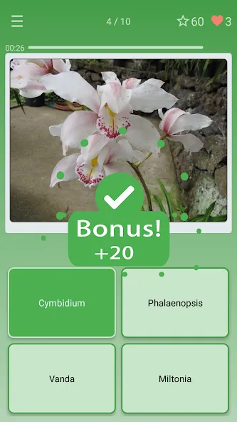 Quiz: Flowers, Plants — скриншот 2